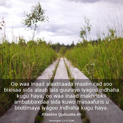 Picture 03 - Yexesqeel 12:4 SOM - Oo waa inaad alaabtaada maalin cad soo bixisaa - Bible Verse Picture