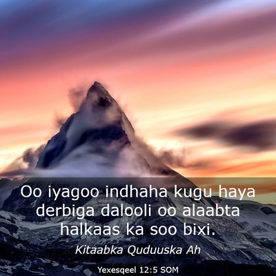 Picture 03 - Yexesqeel 12:5 SOM - Oo iyagoo indhaha kugu haya derbiga dalooli oo - Bible Verse Picture