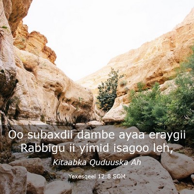 Picture 03 - Yexesqeel 12:8 SOM - Oo subaxdii dambe ayaa eraygii Rabbigu ii yimid - Bible Verse Picture