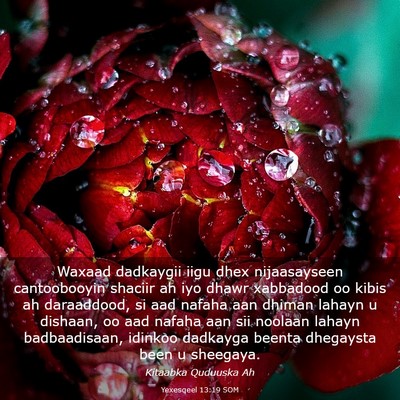 Picture 03 - Yexesqeel 13:19 SOM - Waxaad dadkaygii iigu dhex nijaasayseen - Bible Verse Picture