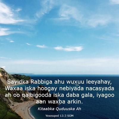 Picture 03 - Yexesqeel 13:3 SOM - Sayidka Rabbiga ahu wuxuu leeyahay, Waxaa iska - Bible Verse Picture