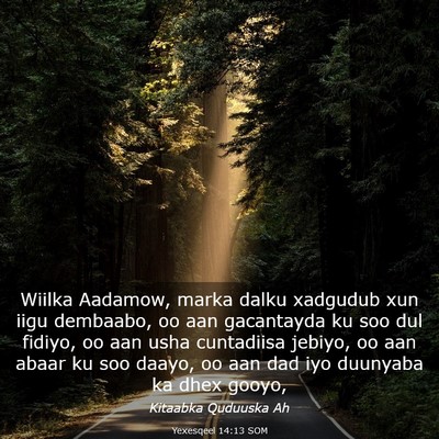 Picture 03 - Yexesqeel 14:13 SOM - Wiilka Aadamow, marka dalku xadgudub xun iigu - Bible Verse Picture