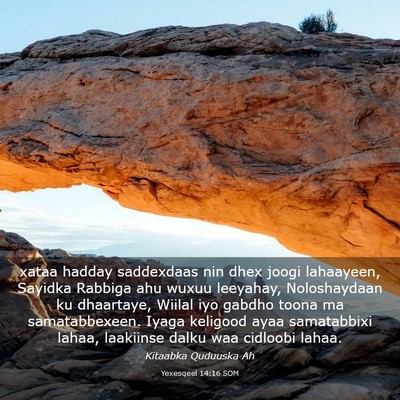 Picture 03 - Yexesqeel 14:16 SOM - xataa hadday saddexdaas nin dhex joogi lahaayeen, - Bible Verse Picture