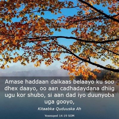 Picture 03 - Yexesqeel 14:19 SOM - Amase haddaan dalkaas belaayo ku soo dhex daayo, - Bible Verse Picture