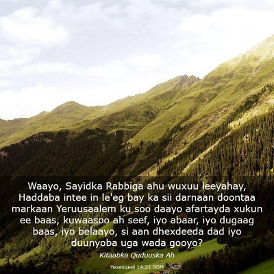Picture 03 - Yexesqeel 14:21 SOM - Waayo, Sayidka Rabbiga ahu wuxuu leeyahay, - Bible Verse Picture