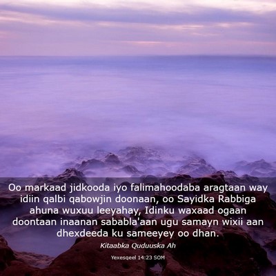 Picture 03 - Yexesqeel 14:23 SOM - Oo markaad jidkooda iyo falimahoodaba aragtaan - Bible Verse Picture