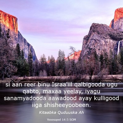 Picture 03 - Yexesqeel 14:5 SOM - si aan reer binu Israa'iil qalbigooda ugu qabto, - Bible Verse Picture