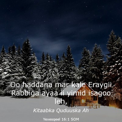 Picture 03 - Yexesqeel 16:1 SOM - Oo haddana mar kale Eraygii Rabbiga ayaa ii yimid - Bible Verse Picture