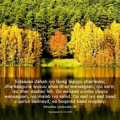 Picture 03 - Yexesqeel 16:13 SOM - Sidaasaa dahab iyo lacag lagugu sharraxay, - Bible Verse Picture