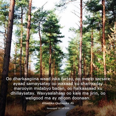 Picture 03 - Yexesqeel 16:16 SOM - Oo dharkaagiina waad iska furtay, oo meelo - Bible Verse Picture