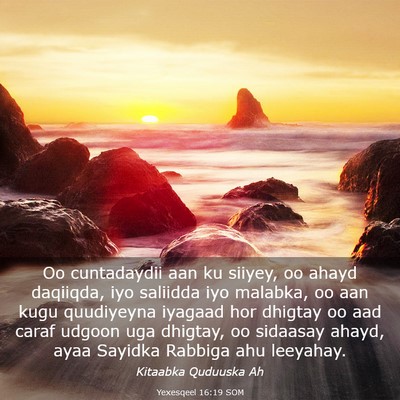 Picture 03 - Yexesqeel 16:19 SOM - Oo cuntadaydii aan ku siiyey, oo ahayd daqiiqda, - Bible Verse Picture