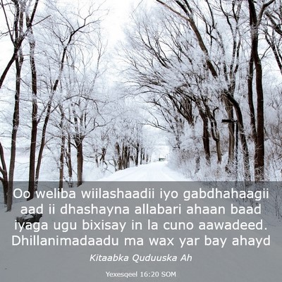 Picture 03 - Yexesqeel 16:20 SOM - Oo weliba wiilashaadii iyo gabdhahaagii aad ii - Bible Verse Picture