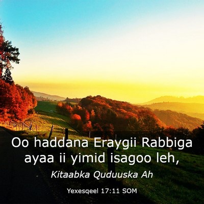 Picture 03 - Yexesqeel 17:11 SOM - Oo haddana Eraygii Rabbiga ayaa ii yimid isagoo - Bible Verse Picture