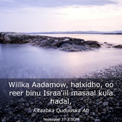 Picture 03 - Yexesqeel 17:2 SOM - Wiilka Aadamow, halxidho, oo reer binu Israa'iil - Bible Verse Picture