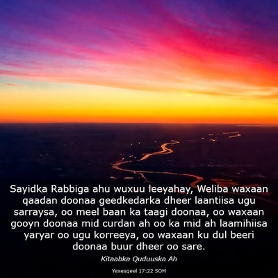 Picture 03 - Yexesqeel 17:22 SOM - Sayidka Rabbiga ahu wuxuu leeyahay, Weliba waxaan - Bible Verse Picture