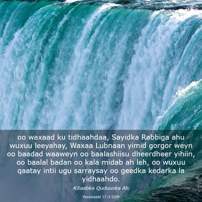 Picture 03 - Yexesqeel 17:3 SOM - oo waxaad ku tidhaahdaa, Sayidka Rabbiga ahu - Bible Verse Picture