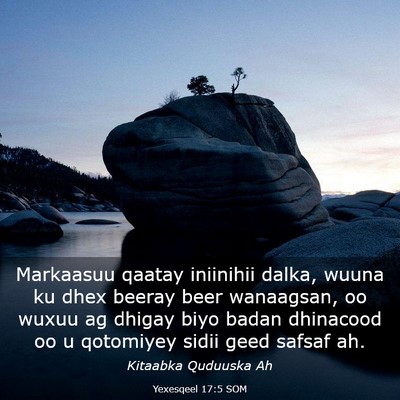 Picture 03 - Yexesqeel 17:5 SOM - Markaasuu qaatay iniinihii dalka, wuuna ku dhex - Bible Verse Picture