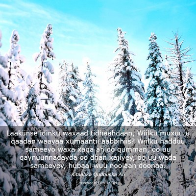 Picture 03 - Yexesqeel 18:19 SOM - Laakiinse idinku waxaad tidhaahdaan, Wiilku muxuu - Bible Verse Picture