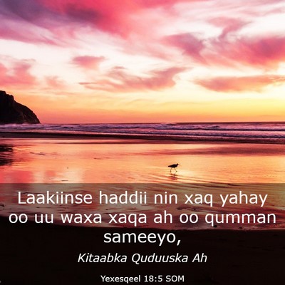 Picture 03 - Yexesqeel 18:5 SOM - Laakiinse haddii nin xaq yahay oo uu waxa xaqa ah - Bible Verse Picture