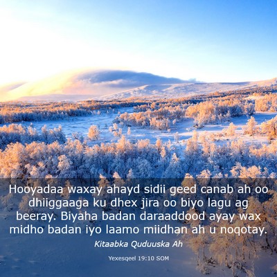 Picture 03 - Yexesqeel 19:10 SOM - Hooyadaa waxay ahayd sidii geed canab ah oo - Bible Verse Picture