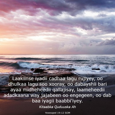 Picture 03 - Yexesqeel 19:12 SOM - Laakiinse iyadii cadhaa lagu rujiyey, oo dhulkaa - Bible Verse Picture