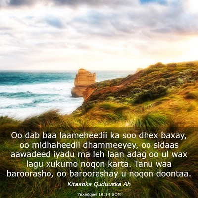 Picture 03 - Yexesqeel 19:14 SOM - Oo dab baa laameheedii ka soo dhex baxay, oo - Bible Verse Picture