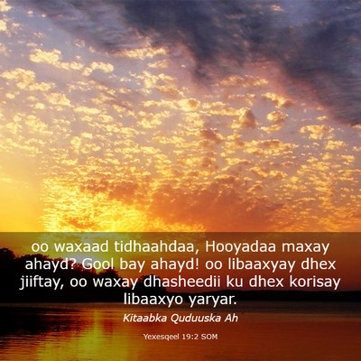 Picture 03 - Yexesqeel 19:2 SOM - oo waxaad tidhaahdaa, Hooyadaa maxay ahayd? Gool - Bible Verse Picture