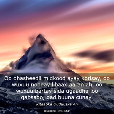 Picture 03 - Yexesqeel 19:3 SOM - Oo dhasheedii midkood ayay korisay, oo wuxuu - Bible Verse Picture