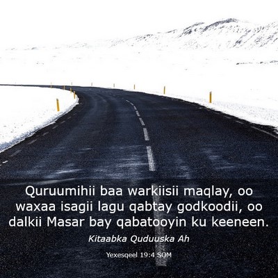 Picture 03 - Yexesqeel 19:4 SOM - Quruumihii baa warkiisii maqlay, oo waxaa isagii - Bible Verse Picture