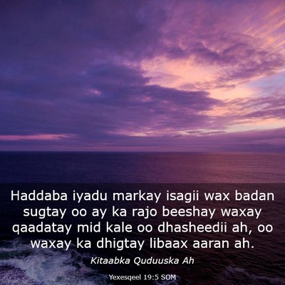 Picture 03 - Yexesqeel 19:5 SOM - Haddaba iyadu markay isagii wax badan sugtay oo - Bible Verse Picture
