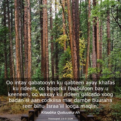 Picture 03 - Yexesqeel 19:9 SOM - Oo intay qabatooyin ku qabteen ayay khafas ku - Bible Verse Picture