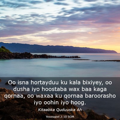 Picture 03 - Yexesqeel 2:10 SOM - Oo isna hortayduu ku kala bixiyey, oo dusha iyo - Bible Verse Picture