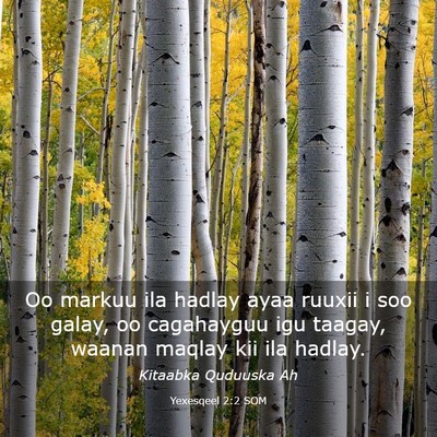 Picture 03 - Yexesqeel 2:2 SOM - Oo markuu ila hadlay ayaa ruuxii i soo galay, oo - Bible Verse Picture