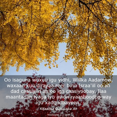 Picture 03 - Yexesqeel 2:3 SOM - Oo isaguna wuxuu igu yidhi, Wiilka Aadamow, - Bible Verse Picture