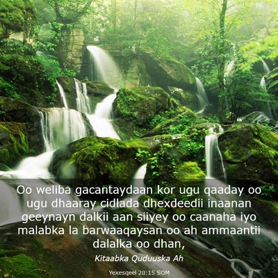 Picture 03 - Yexesqeel 20:15 SOM - Oo weliba gacantaydaan kor ugu qaaday oo ugu - Bible Verse Picture
