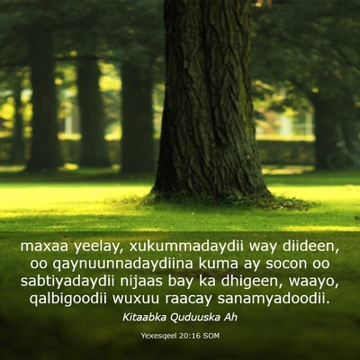 Picture 03 - Yexesqeel 20:16 SOM - maxaa yeelay, xukummadaydii way diideen, oo - Bible Verse Picture