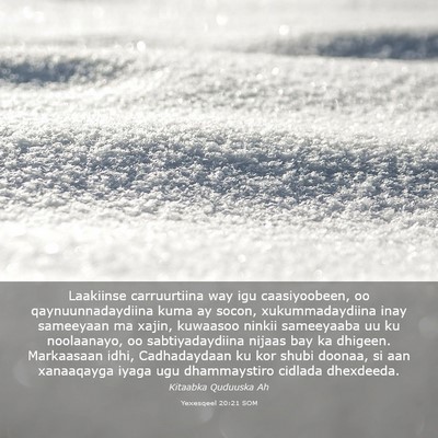 Picture 03 - Yexesqeel 20:21 SOM - Laakiinse carruurtiina way igu caasiyoobeen, oo - Bible Verse Picture