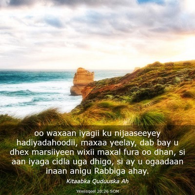 Picture 03 - Yexesqeel 20:26 SOM - oo waxaan iyagii ku nijaaseeyey hadiyadahoodii, - Bible Verse Picture