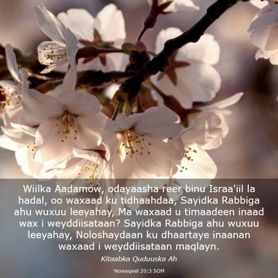 Picture 03 - Yexesqeel 20:3 SOM - Wiilka Aadamow, odayaasha reer binu Israa'iil la - Bible Verse Picture