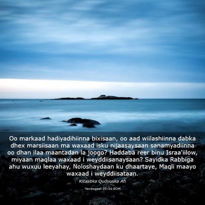 Picture 03 - Yexesqeel 20:31 SOM - Oo markaad hadiyadihiinna bixisaan, oo aad - Bible Verse Picture