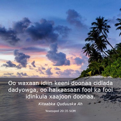 Picture 03 - Yexesqeel 20:35 SOM - Oo waxaan idiin keeni doonaa cidlada dadyowga, oo - Bible Verse Picture