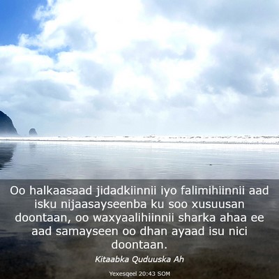 Picture 03 - Yexesqeel 20:43 SOM - Oo halkaasaad jidadkiinnii iyo falimihiinnii aad - Bible Verse Picture