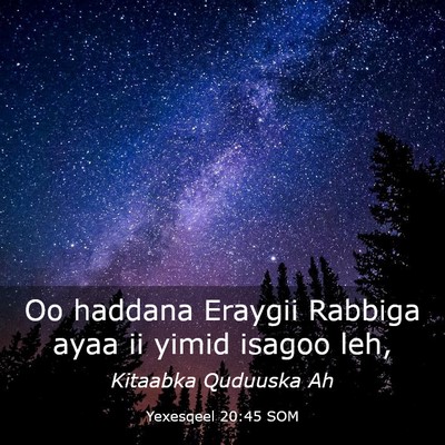 Picture 03 - Yexesqeel 20:45 SOM - Oo haddana Eraygii Rabbiga ayaa ii yimid isagoo - Bible Verse Picture