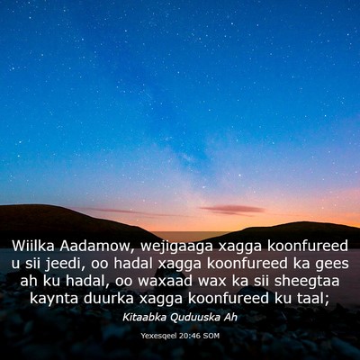 Picture 03 - Yexesqeel 20:46 SOM - Wiilka Aadamow, wejigaaga xagga koonfureed u sii - Bible Verse Picture