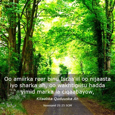 Picture 03 - Yexesqeel 21:25 SOM - Oo amiirka reer binu Israa'iil oo nijaasta iyo - Bible Verse Picture
