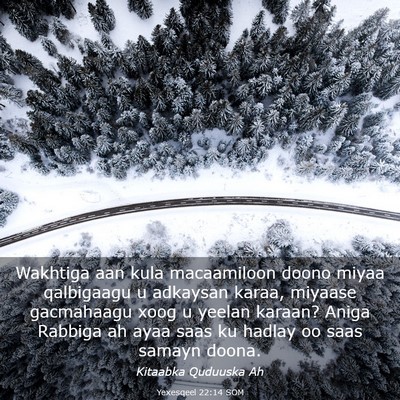 Picture 03 - Yexesqeel 22:14 SOM - Wakhtiga aan kula macaamiloon doono miyaa - Bible Verse Picture