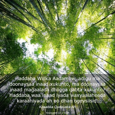 Picture 03 - Yexesqeel 22:2 SOM - Haddaba Wiilka Aadamow, adigu ma doonaysaa inaad - Bible Verse Picture