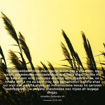 Picture 03 - Yexesqeel 22:26 SOM - Oo wadaaddadeediina sharcigaygii si xun bay u - Bible Verse Picture