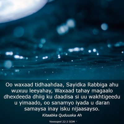 Picture 03 - Yexesqeel 22:3 SOM - Oo waxaad tidhaahdaa, Sayidka Rabbiga ahu wuxuu - Bible Verse Picture