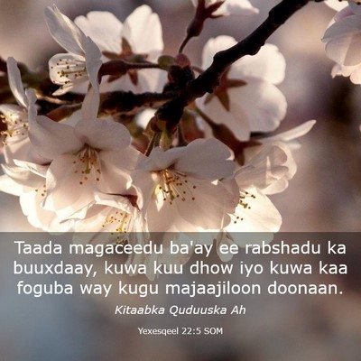 Picture 03 - Yexesqeel 22:5 SOM - Taada magaceedu ba'ay ee rabshadu ka buuxdaay, - Bible Verse Picture